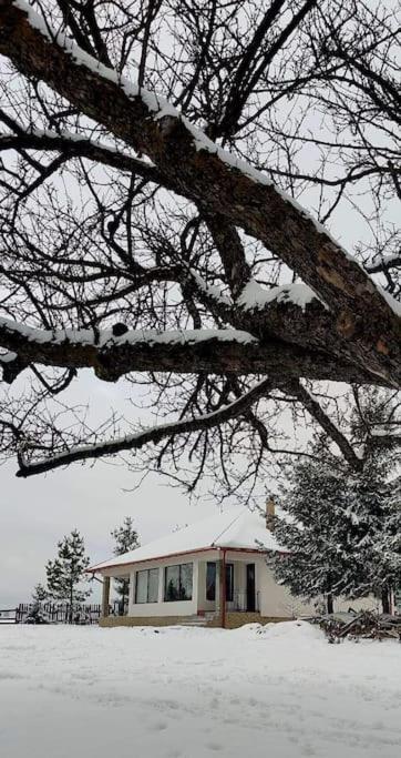 Kavicshaz Villa Vlahita Bagian luar foto